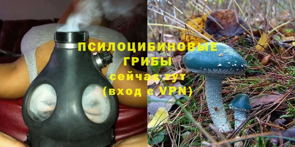 амф Алексин