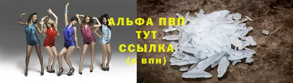 амф Алексин