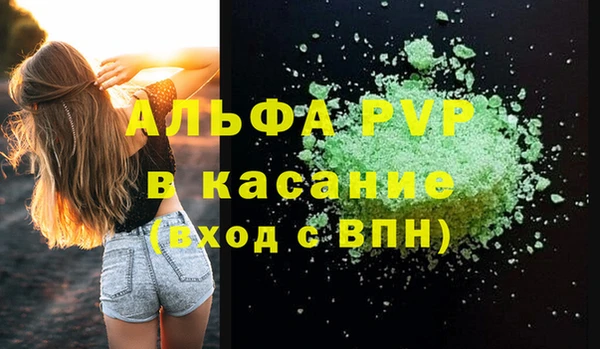 крисы Абаза