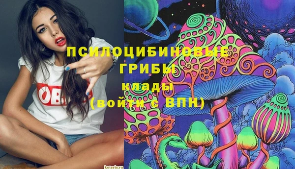 амф Алексин