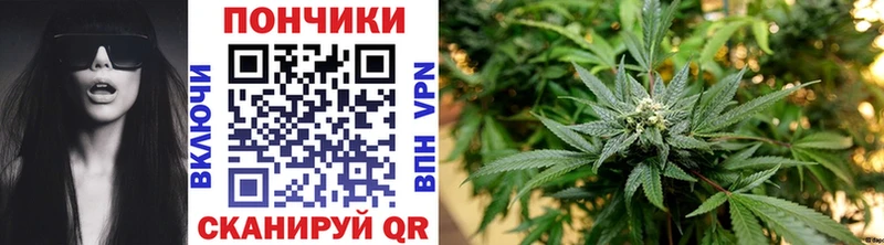 Бошки Шишки план  Карабулак 